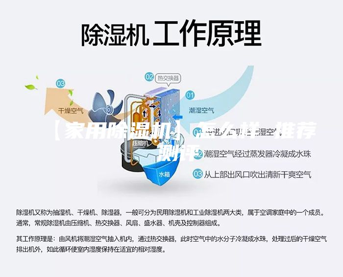 【家用除濕機】怎么樣 推薦 測評