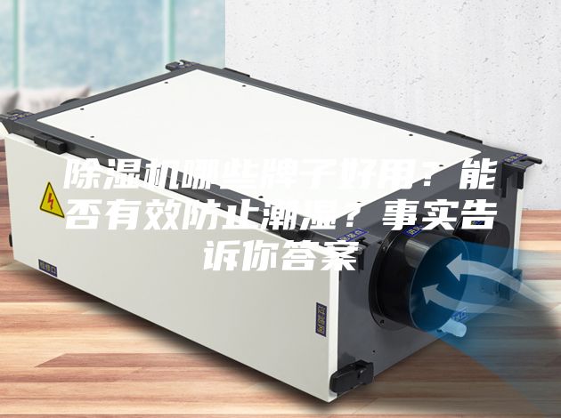 除濕機哪些牌子好用？能否有效防止潮濕？事實告訴你答案
