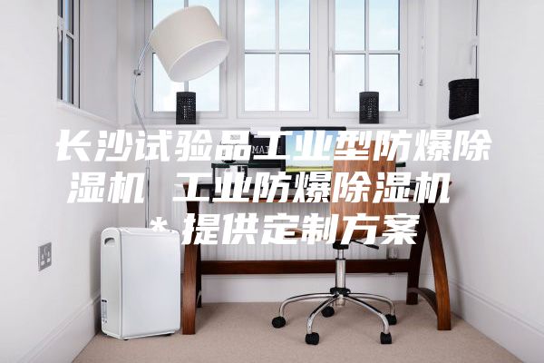 長(zhǎng)沙試驗(yàn)品工業(yè)型防爆除濕機(jī) 工業(yè)防爆除濕機(jī) *提供定制方案