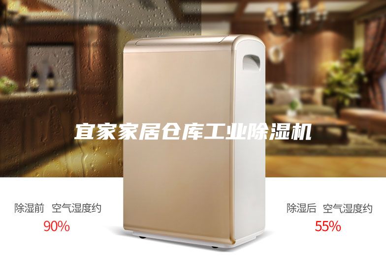 宜家家居倉(cāng)庫(kù)工業(yè)除濕機(jī)