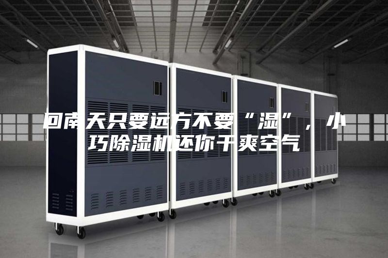 回南天只要遠(yuǎn)方不要“濕”,小巧除濕機(jī)還你干爽空氣