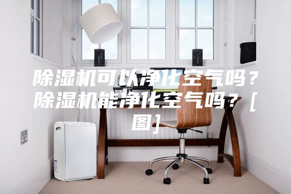 除濕機可以凈化空氣嗎？除濕機能凈化空氣嗎？[圖]