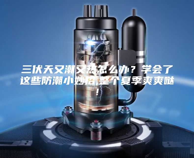 三伏天又潮又熱怎么辦?學(xué)會(huì)了這些防潮小妙招,整個(gè)夏季爽爽噠!