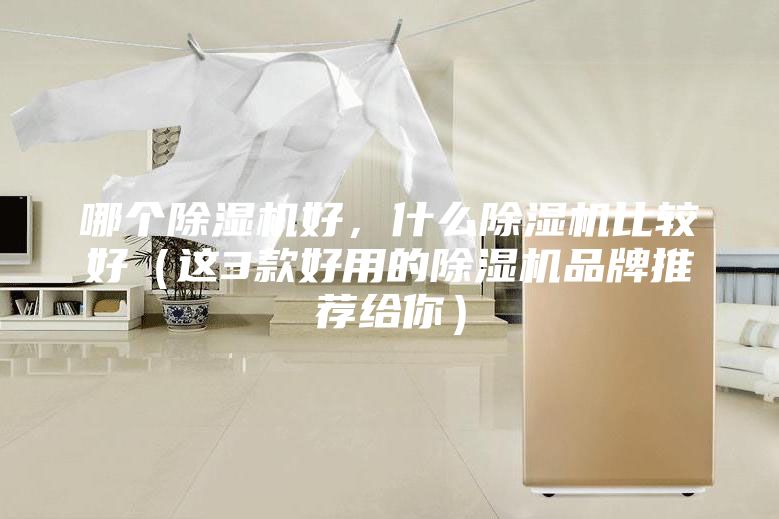 哪個除濕機好,什么除濕機比較好(這3款好用的除濕機品牌推薦給你)