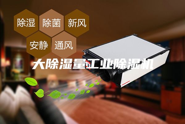 大除濕量工業(yè)除濕機(jī)