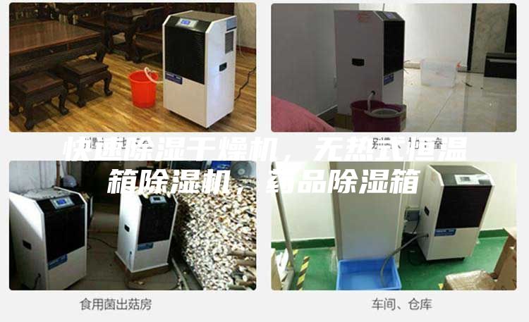 快速除濕干燥機(jī),無(wú)熱式恒溫箱除濕機(jī),藥品除濕箱