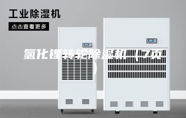 氯化鋰轉(zhuǎn)輪除濕機(jī)(7頁(yè))