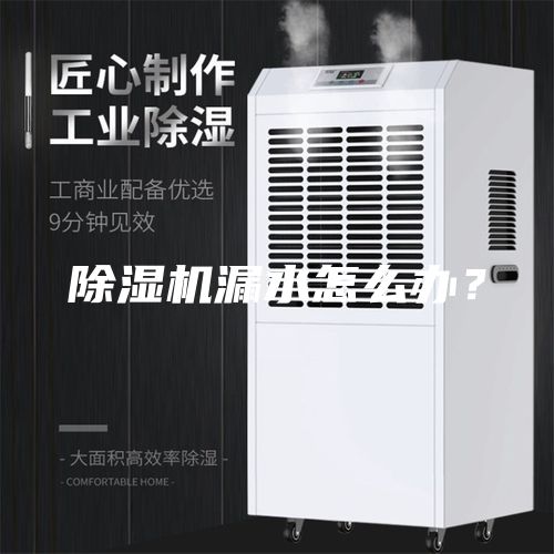 除濕機漏水怎么辦？