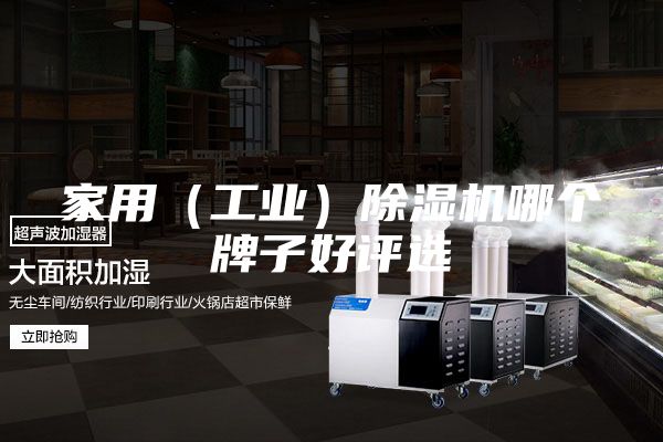 家用(工業(yè))除濕機(jī)哪個(gè)牌子好評(píng)選
