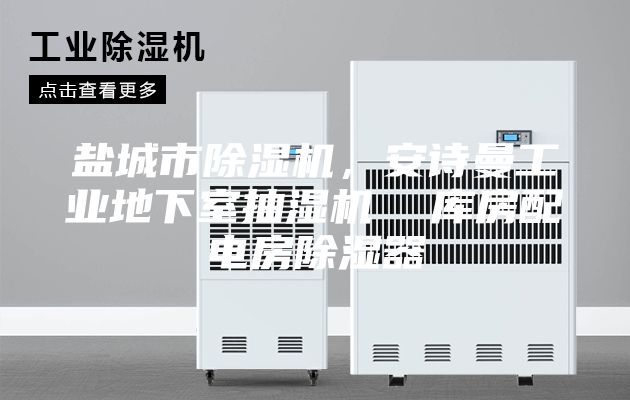 鹽城市除濕機,安詩曼工業(yè)地下室抽濕機 庫房配電房除濕器