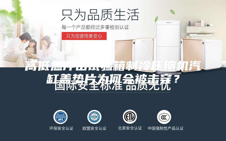 高低溫沖擊試驗箱制冷壓縮機汽缸蓋墊片為何會被擊穿?