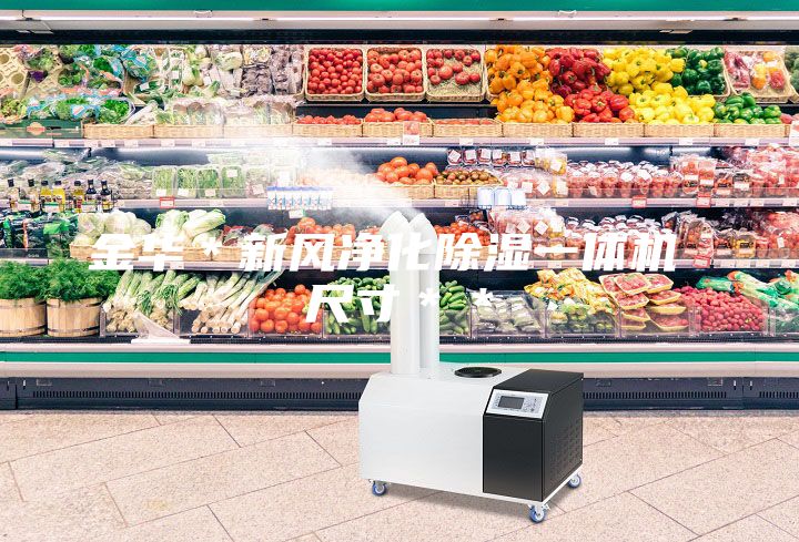 金華*新風凈化除濕一體機 尺寸**