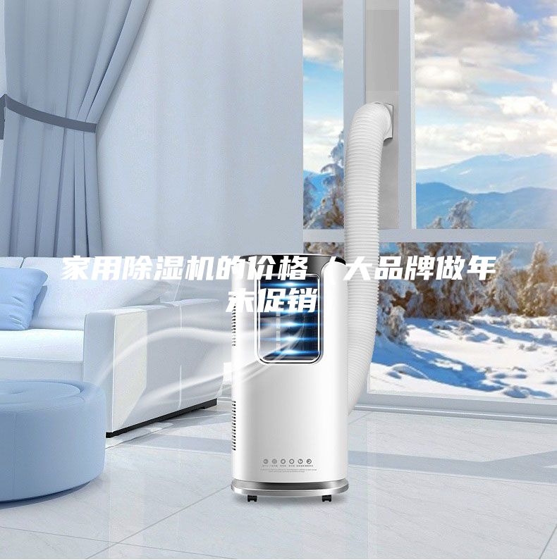 家用除濕機的價格(大品牌做年末促銷)