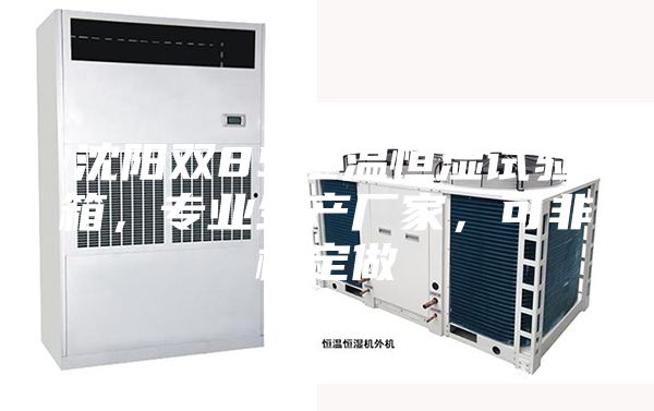沈陽雙85恒溫恒濕試驗箱,專業生產廠家,可非標定做