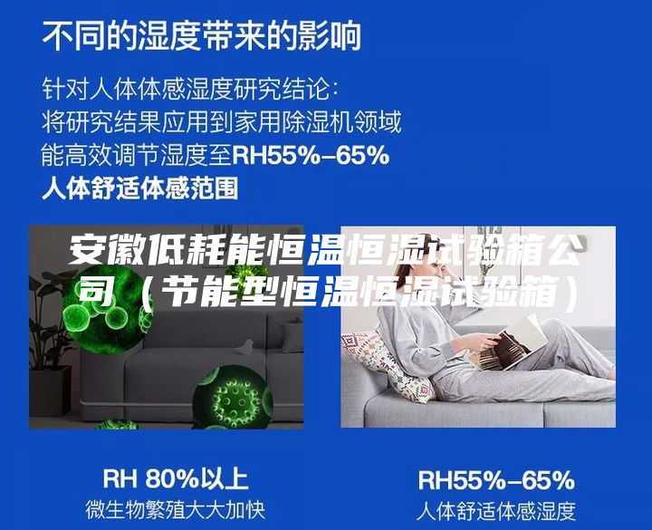 安徽低耗能恒溫恒濕試驗箱公司(節能型恒溫恒濕試驗箱)