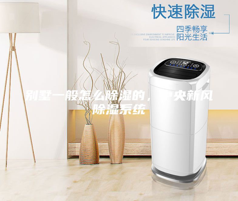 別墅一般怎么除濕的,中央新風除濕系統