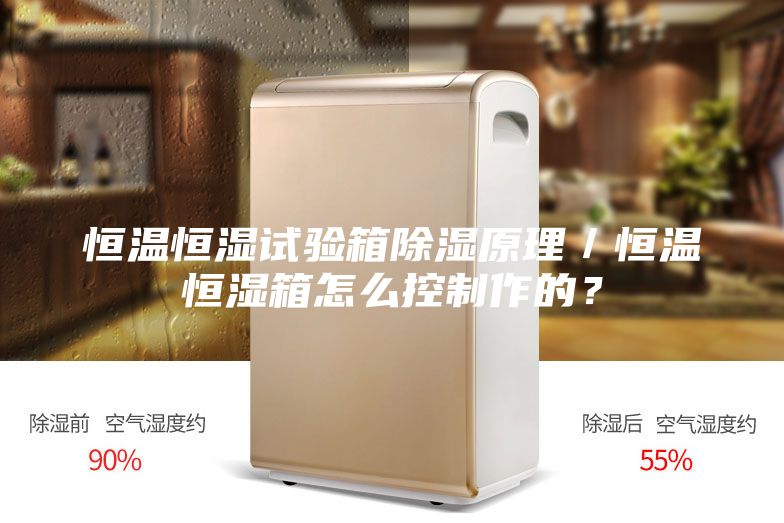 恒溫恒濕試驗(yàn)箱除濕原理／恒溫恒濕箱怎么控制作的？