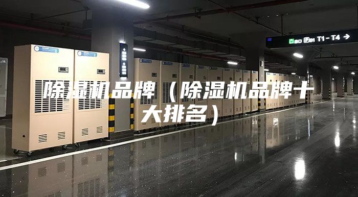除濕機品牌(除濕機品牌十大排名)