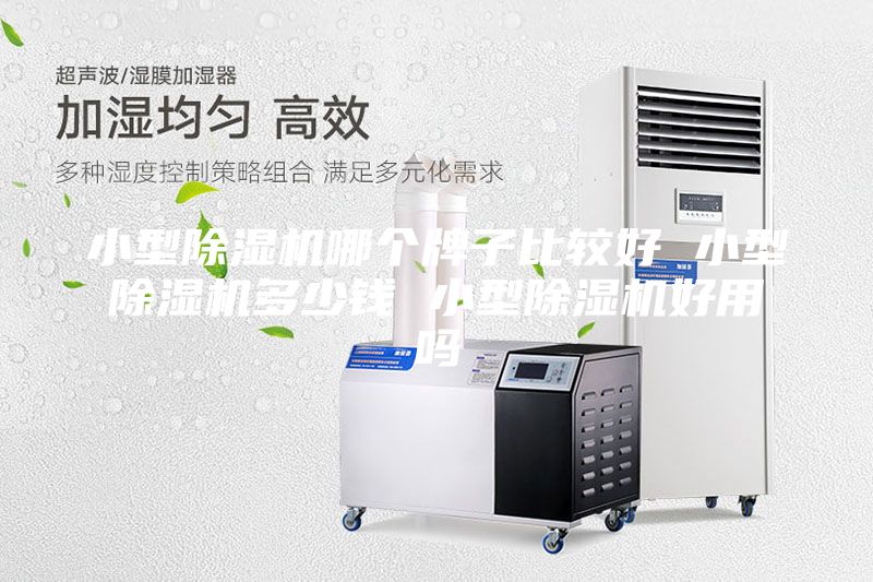 小型除濕機(jī)哪個(gè)牌子比較好 小型除濕機(jī)多少錢 小型除濕機(jī)好用嗎