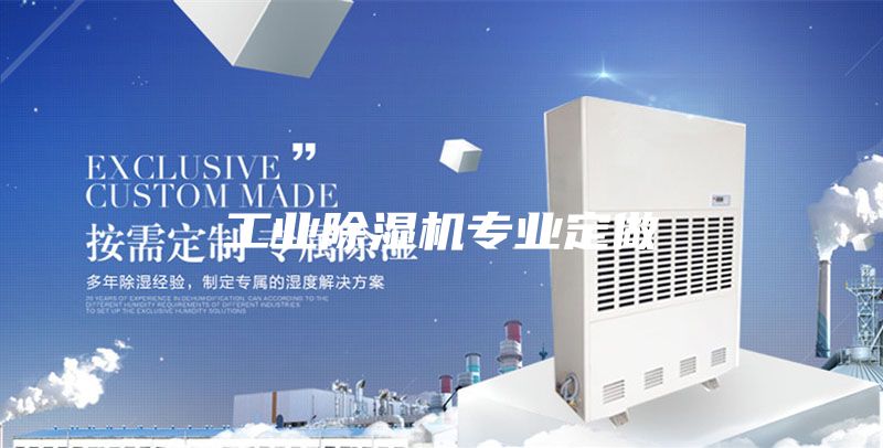 工業(yè)除濕機專業(yè)定做