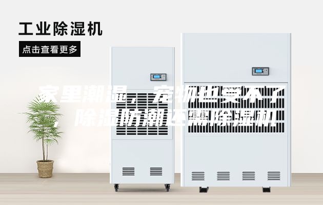 家里潮濕,寵物也受不了,除濕防潮還需除濕機(jī)