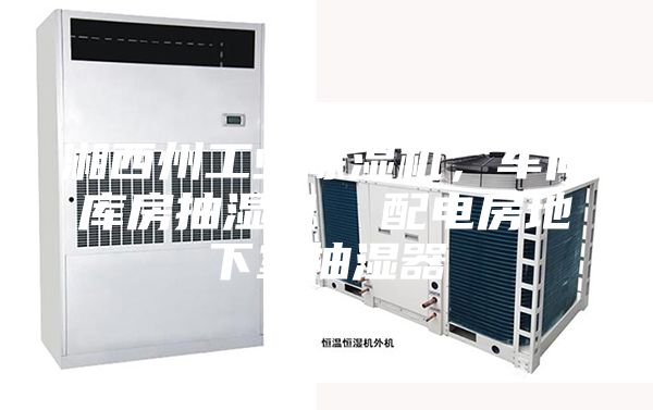 湘西州工業(yè)除濕機，車間庫房抽濕機  配電房地下室抽濕器