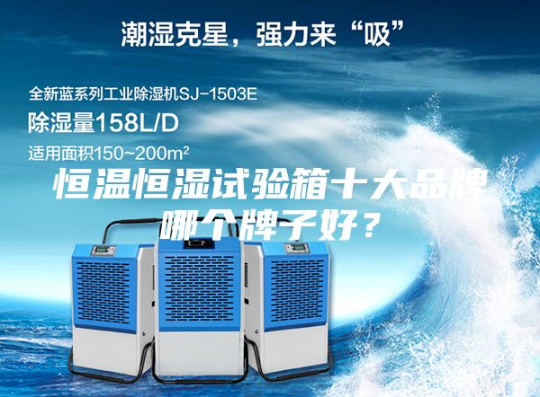 恒溫恒濕試驗箱十大品牌哪個牌子好?