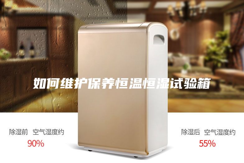 如何維護保養恒溫恒濕試驗箱