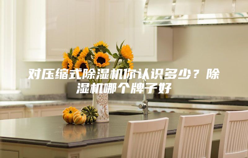 對壓縮式除濕機你認識多少?除濕機哪個牌子好