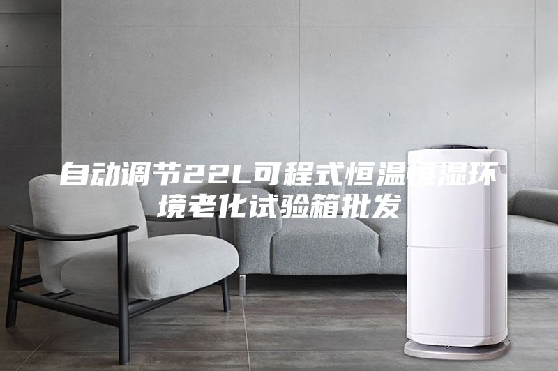 自動調節(jié)22L可程式恒溫恒濕環(huán)境老化試驗箱批發(fā)