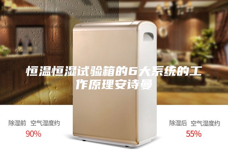 恒溫恒濕試驗(yàn)箱的6大系統(tǒng)的工作原理安詩(shī)曼