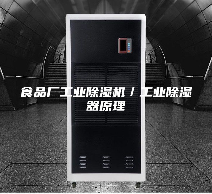 食品廠(chǎng)工業(yè)除濕機(jī)／工業(yè)除濕器原理
