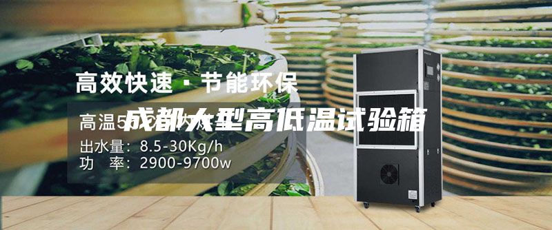 成都大型高低溫試驗箱