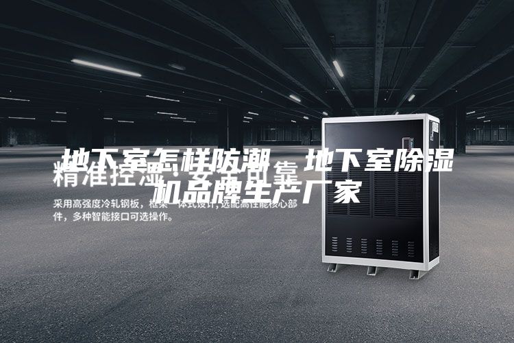 地下室怎樣防潮，地下室除濕機品牌生產廠家