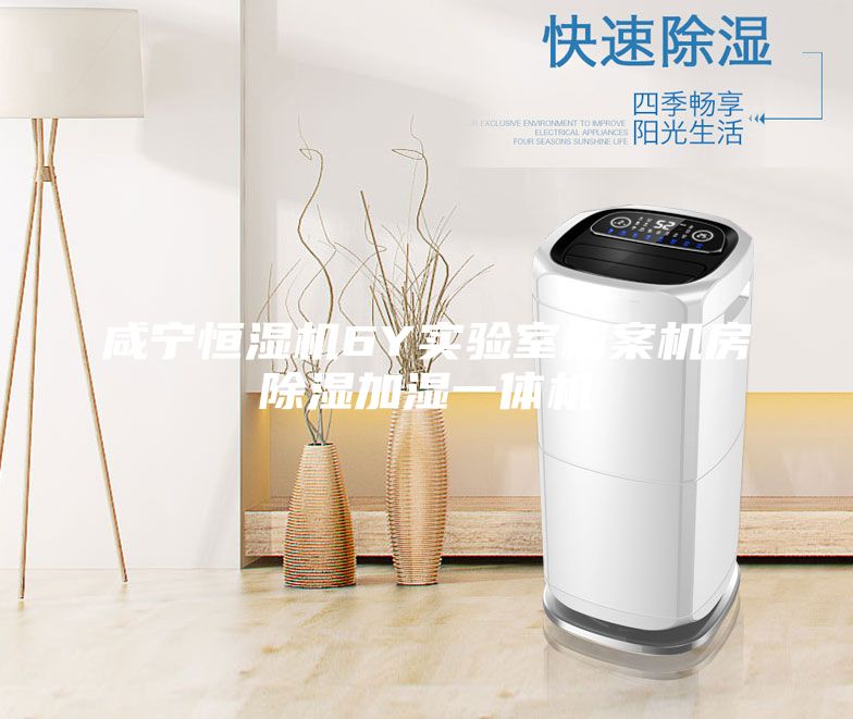 咸寧恒濕機(jī)6Y實驗室檔案機(jī)房除濕加濕一體機(jī)