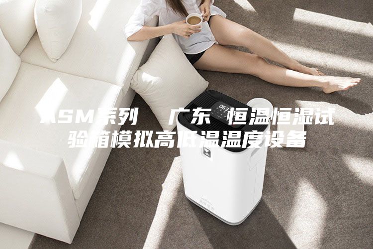ASM系列  廣東 恒溫恒濕試驗箱模擬高低溫溫度設備