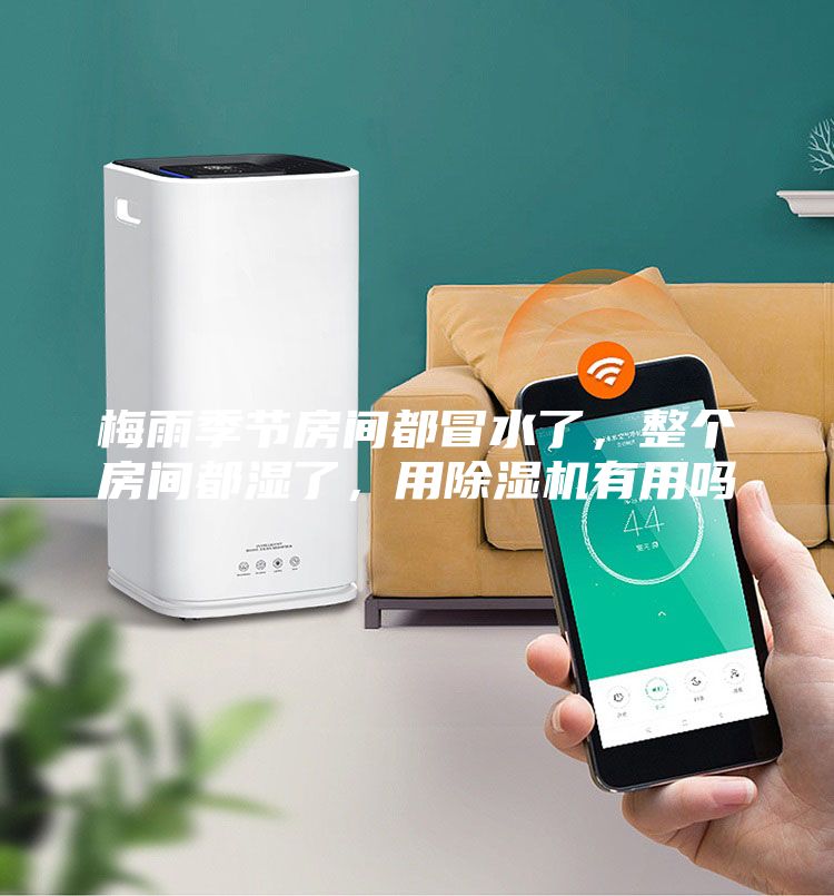 梅雨季節(jié)房間都冒水了，整個房間都濕了，用除濕機有用嗎