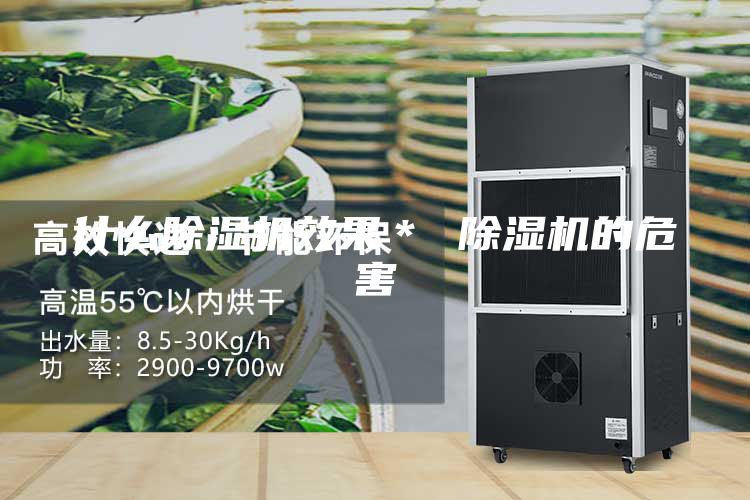 什么除濕機效果＊ 除濕機的危害