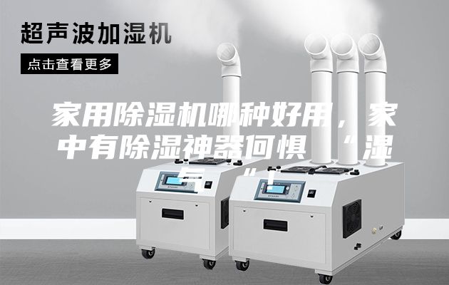 家用除濕機(jī)哪種好用，家中有除濕神器何懼 “濕氣 “！