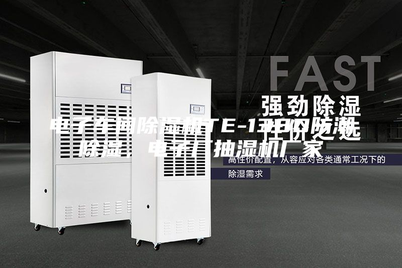 電子車間除濕機(jī)TE-138D防潮除濕，電子廠抽濕機(jī)廠家