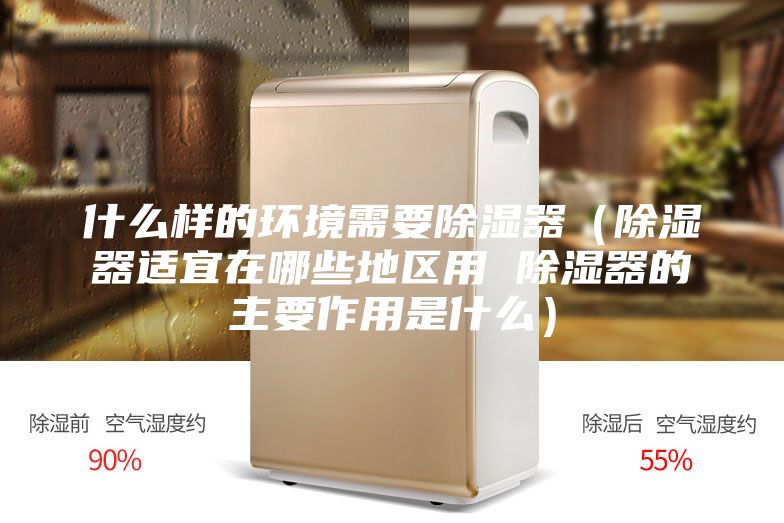 什么樣的環境需要除濕器（除濕器適宜在哪些地區用 除濕器的主要作用是什么）