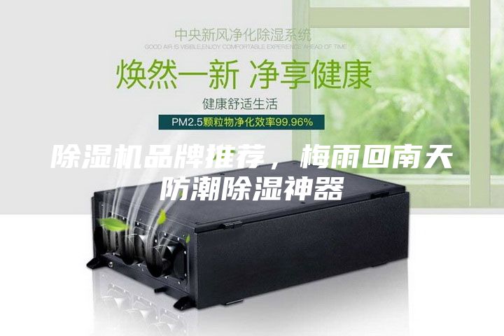 除濕機品牌推薦，梅雨回南天防潮除濕神器