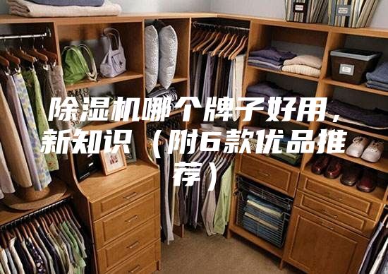 除濕機哪個牌子好用，新知識（附6款優品推薦）