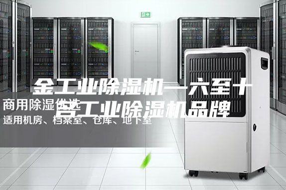 金工業(yè)除濕機(jī)—六至十名工業(yè)除濕機(jī)品牌