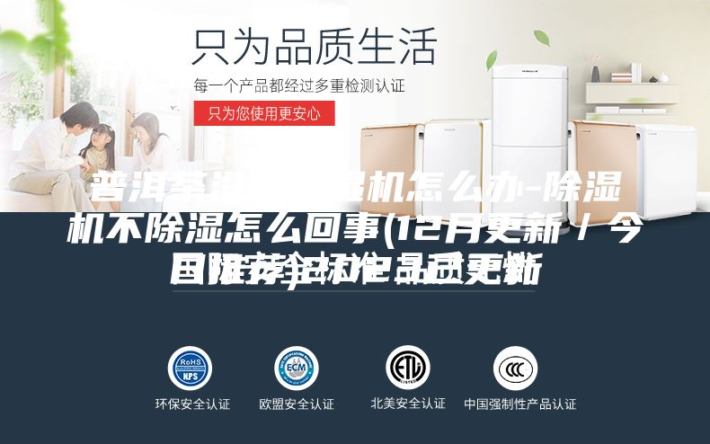 普洱茶沒有除濕機怎么辦-除濕機不除濕怎么回事(12月更新／今日推薦)2023已更新