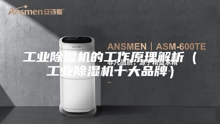 工業(yè)除濕機(jī)的工作原理解析（工業(yè)除濕機(jī)十大品牌）