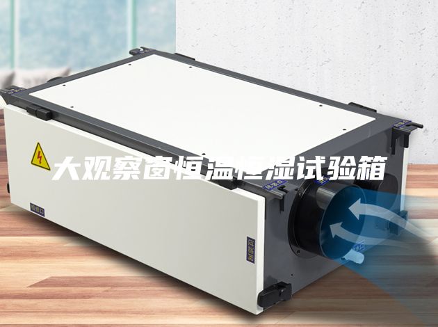 大觀察窗恒溫恒濕試驗箱