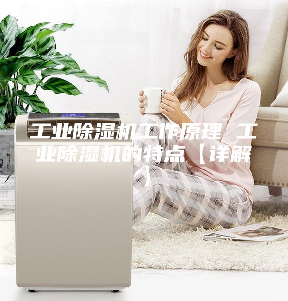 工業(yè)除濕機(jī)工作原理 工業(yè)除濕機(jī)的特點(diǎn)【詳解】