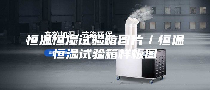 恒溫恒濕試驗(yàn)箱圖片/恒溫恒濕試驗(yàn)箱樣板圖