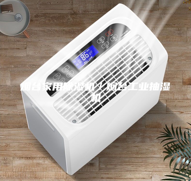 煙臺家用除濕機/煙臺工業抽濕機